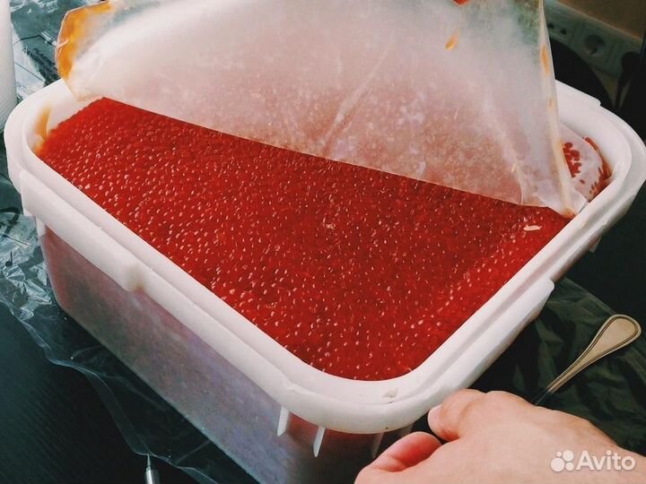 Красная икра