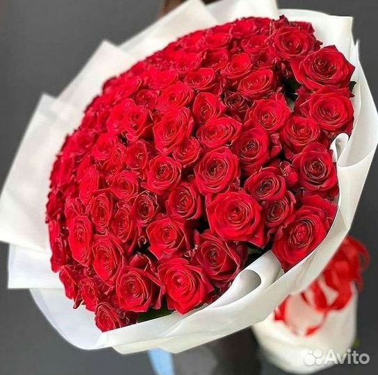Высокие Розы Гиганты Доставка Круглосуточно