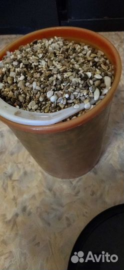 Галька морская для аквариума