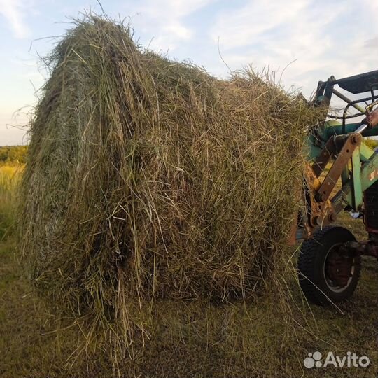 Сено в рулонах