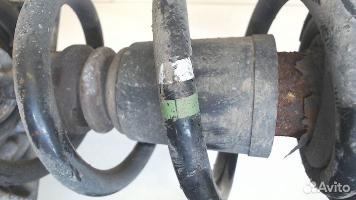 Амортизатор подвески Audi A4 (B7), 2007