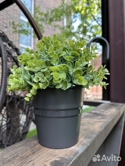 Кашпо настенное подвесное ведро пластик