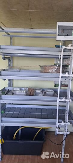 Гидропонная установка