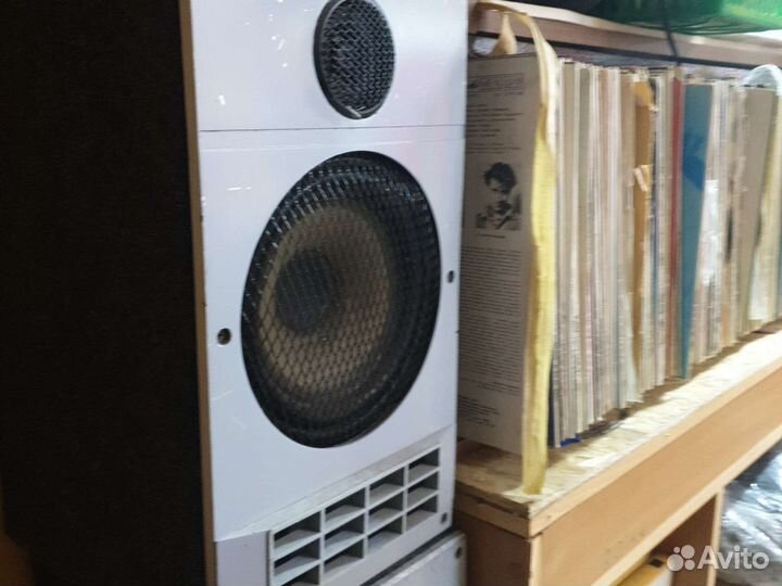 Колонки Электроника 25ас-128