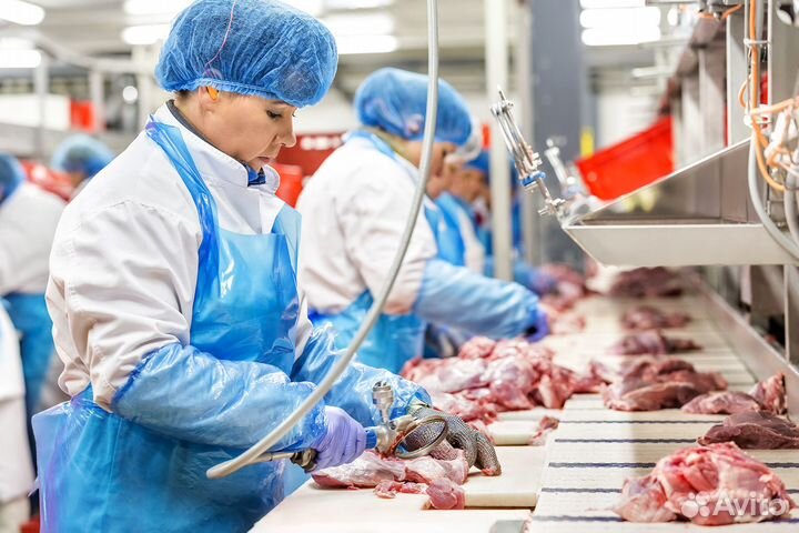 Вахта работник по упаковке яиц на птицефабрике