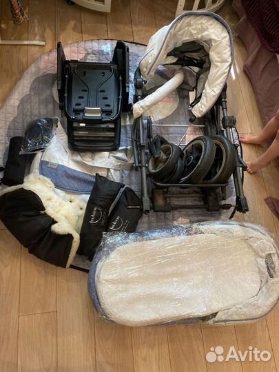 Коляска Тевтония мистраль с