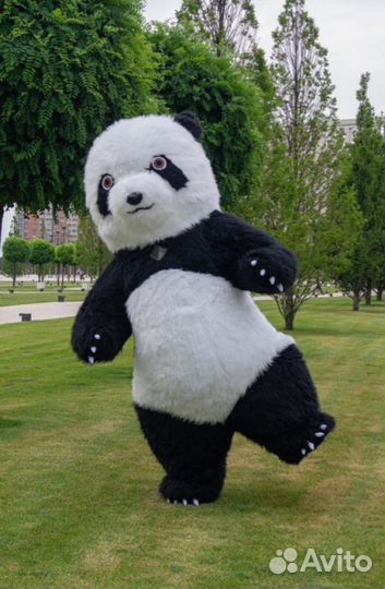 Поздравление от Мишки Панды