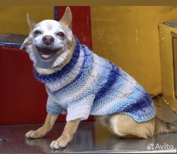 Одежда на собачку вязаные Свитер и Шапочки