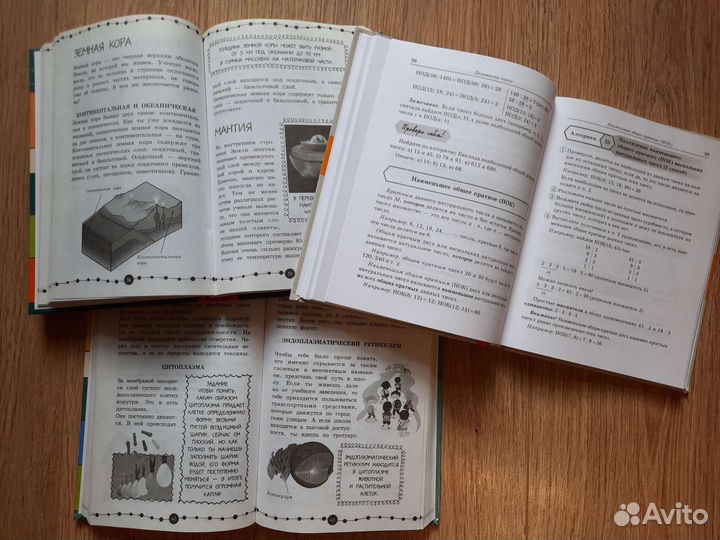 Книги-помощники в 5 классе