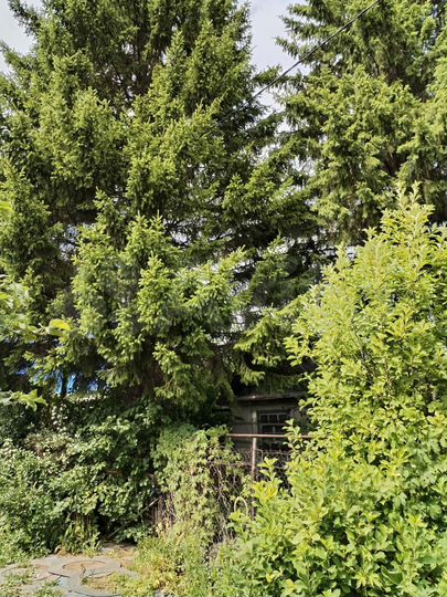 Дом 12 м² на участке 4 сот.