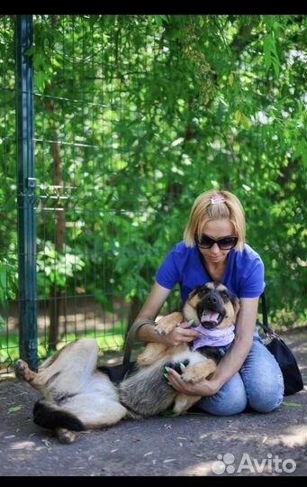 Отдам в добрые руки Корицу