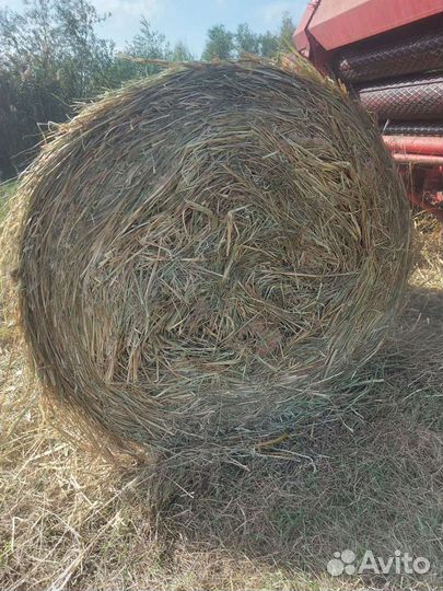 Сено в рулонах