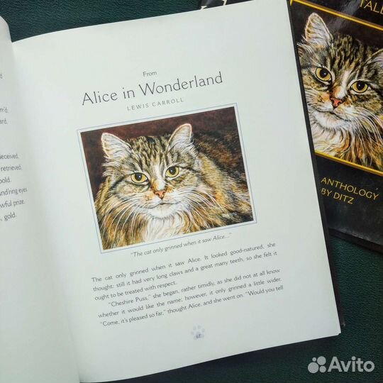 Сборник о кошках