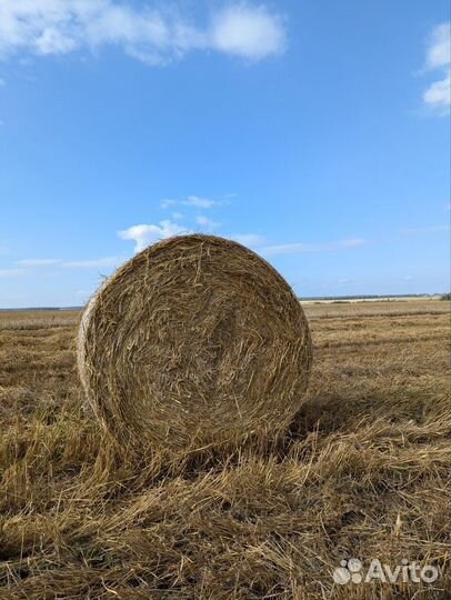 Солома в тюках