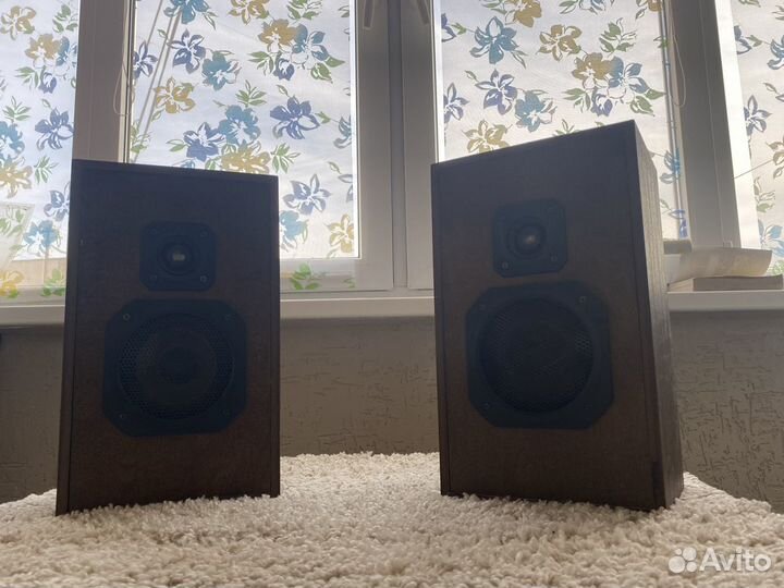 Колонки радиотехника s 30а