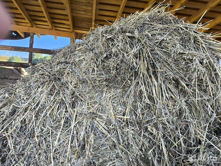 Сено в тюках