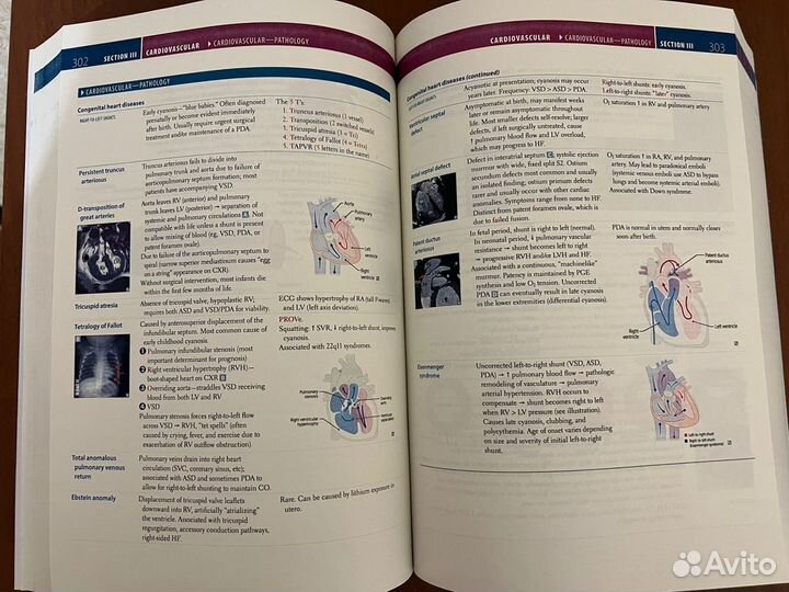 Usmle step 1 2024