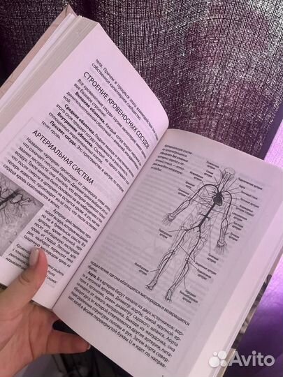 Книга взламывая анатомию