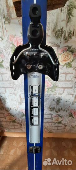 Горные лыжи