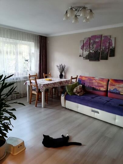 3-к. квартира, 56 м², 1/5 эт.