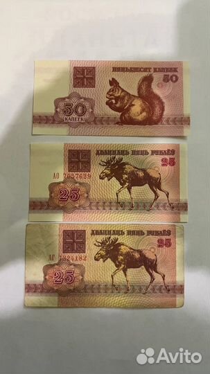 Купюры Беларусь 1992-1999