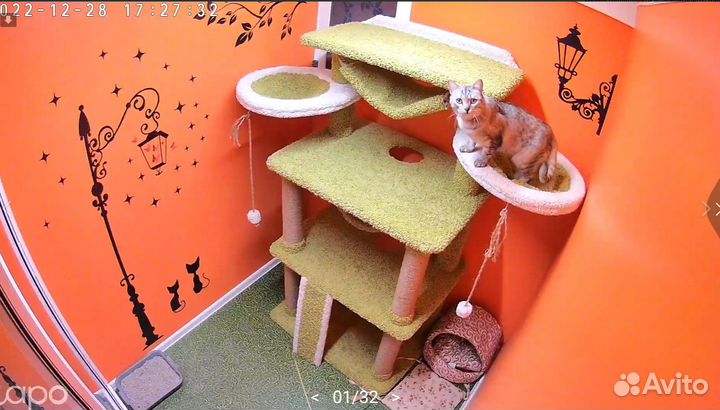 Зоогостиница для кошек Уфа Чесноковка