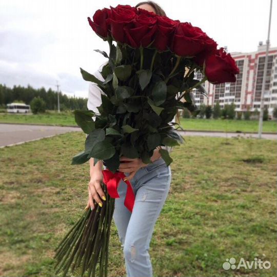 Шикарные, метровые розы