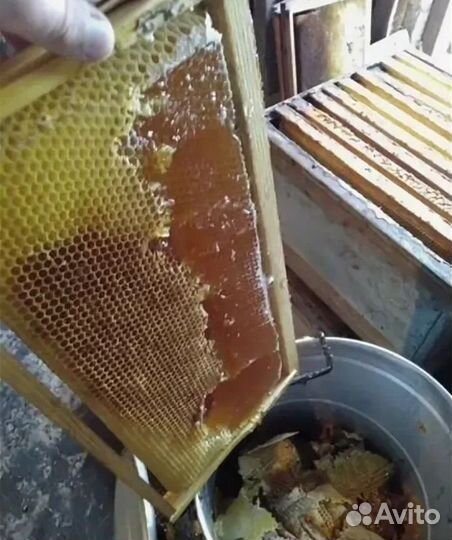 Мед с пасеки