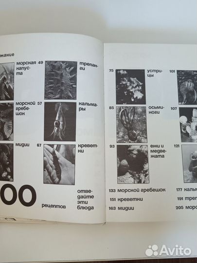 Дары моря. Л. зенкевич