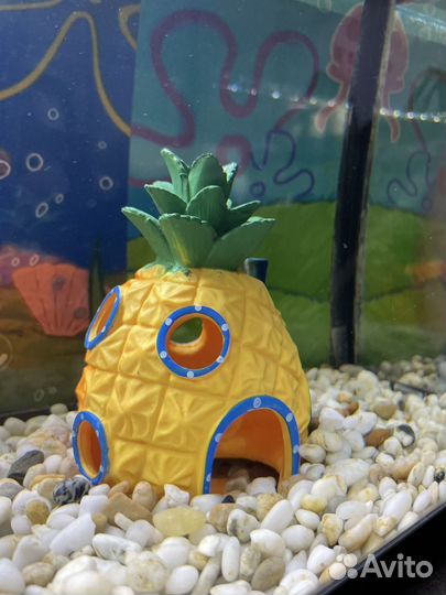 Аквариум с рыбками