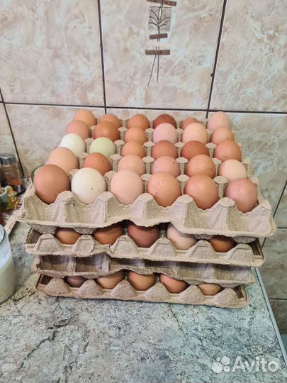 Яйца деревенские домашние
