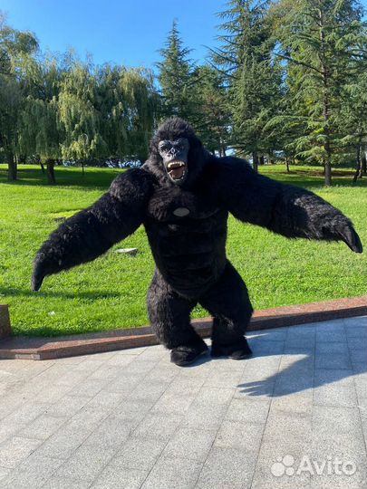 Аниматоры. Поздравление от Белого медведя.шоукуклы