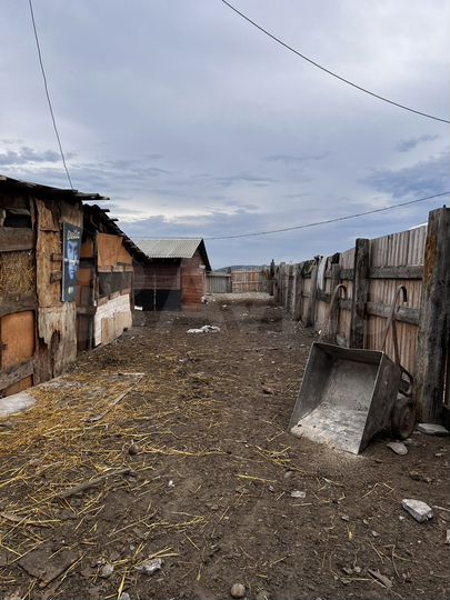 Дача 50 м² на участке 16 сот.