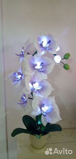 Орхидея