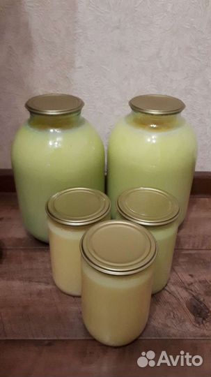 Жир гусиный