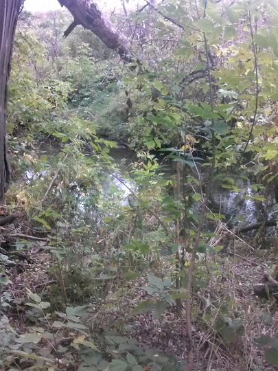 Участок 18 сот. (СНТ, ДНП)