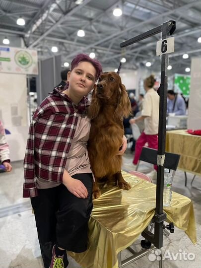 Ищу моделей на груминг