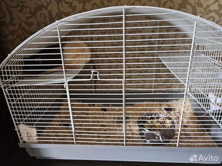 Клетка для грызунов