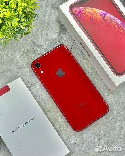 iPhone Xr, 64 ГБ