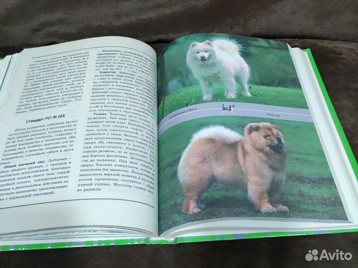 Книга о собаках