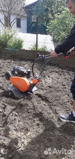 Рулонный,посевной газон,работы по подготовке