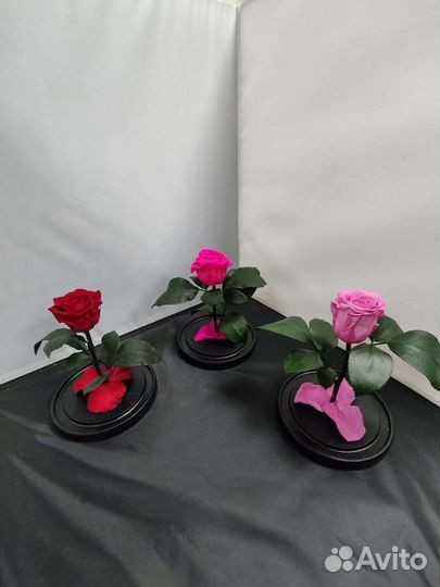 Роза в колбе оптом