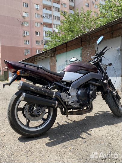 Kawasaki xanthus 400