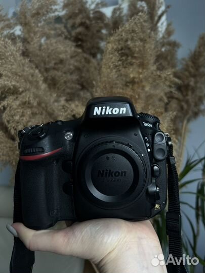Фотоаппарат nikon d800