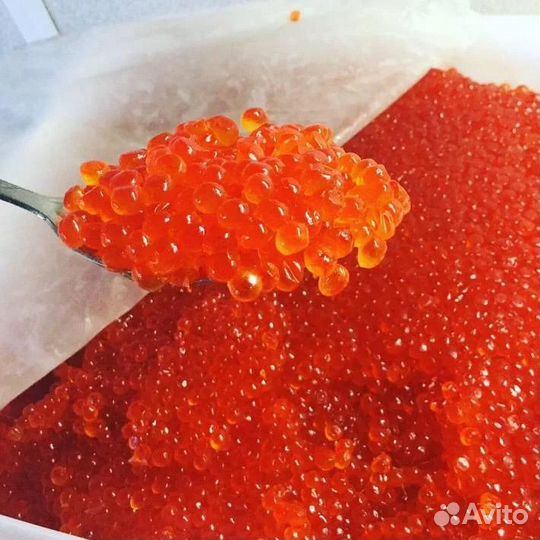 Красная икра 2024