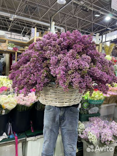 Букет сирени с доставкой