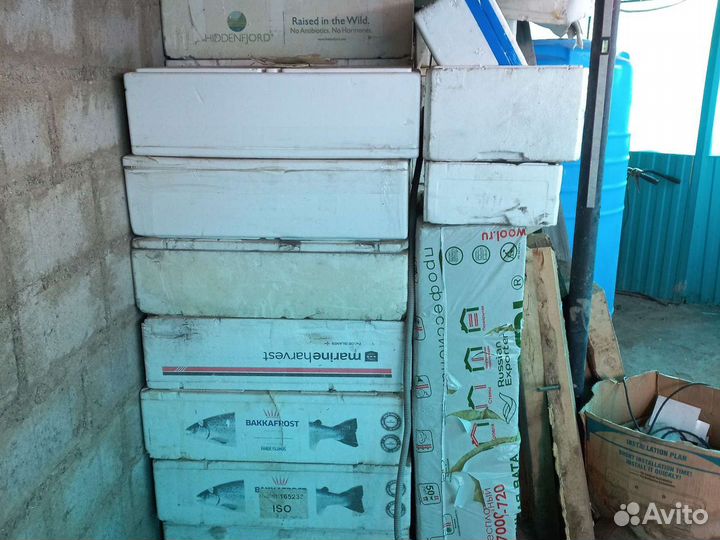 Коробки, термо-коробки из пенопласта для раков