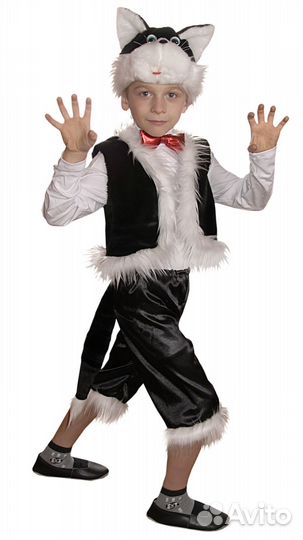 Костюм Кота. (Аренда)