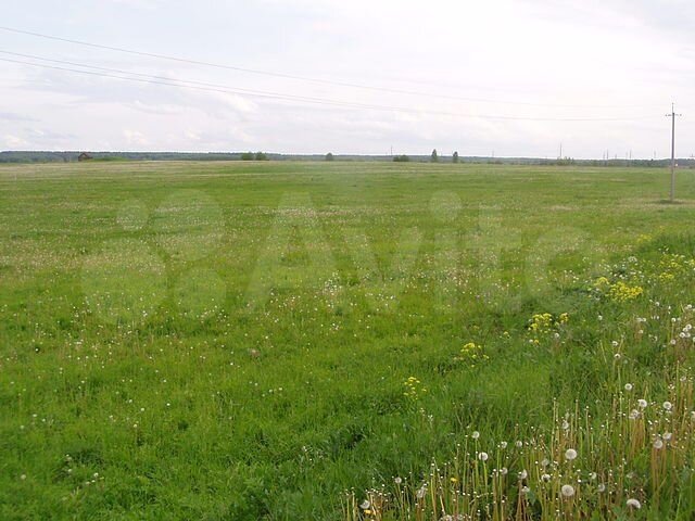 Участок 64 сот. (СНТ, ДНП)