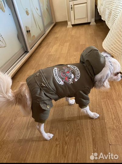 Одежда для собак и кошек